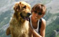 /album/dogs/dsc04517-jpg/